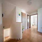 Veselíčko 44 Prázdninový dům